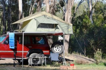 Australia (Guy Fawkes River National Park)